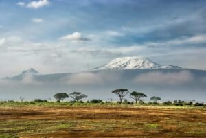 qué hacer en kenia