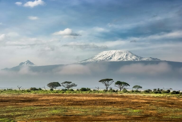 qué hacer en kenia