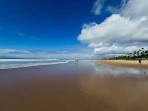 playas de porto de galinhas