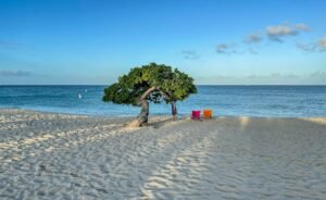 curazao y aruba